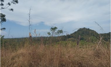 Se vende terreno en La Tambora, El Cacao, Capira