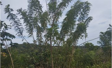 Se vende terreno en La Tambora, El Cacao, Capira