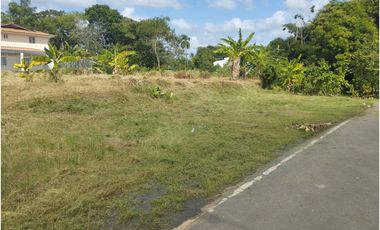 Se vende lote en Juan Díaz