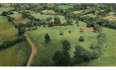 Venta de Finca en Chorrera, 2,9 Ha,