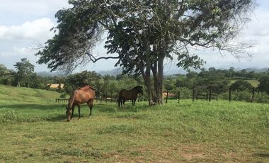 Venta de Finca en Chorrera, 2,9 Ha,