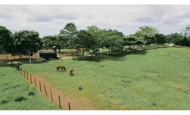 Venta de lotes en Hacienda Santa Dominica, Hurtado,La Chorrera