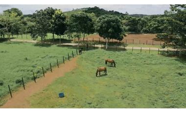 Venta de lotes en Hacienda Santa Dominica, Hurtado,La Chorrera