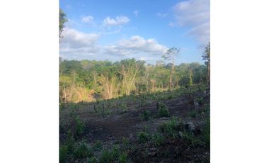 Venta de lotes en Hacienda Santa Dominica, Hurtado,La Chorrera