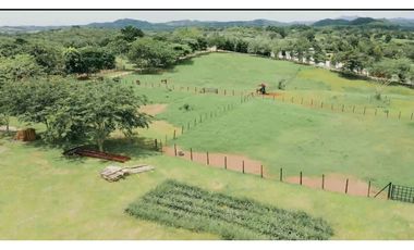 Venta de lotes en Hacienda Santa Dominica, Hurtado,La Chorrera