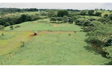 Venta de lotes en Hacienda Santa Dominica, Hurtado,La Chorrera