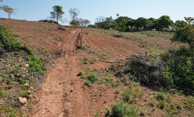 Se vende finca en El Copecito, San Carlos