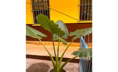 SE VENDE CASA ESTUDIANTES, SANTA ANA