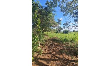 SE VENDE TERRENO EN LAS YAYAS,LA CHORRERA