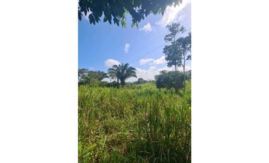 SE VENDE TERRENO EN LAS YAYAS,LA CHORRERA