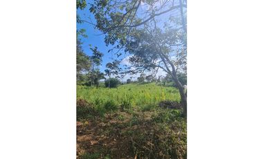 SE VENDE TERRENO EN LAS YAYAS,LA CHORRERA
