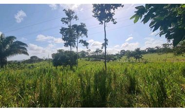 SE VENDE TERRENO EN LAS YAYAS,LA CHORRERA