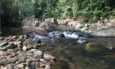 Finca Ganadera en Tucuecito Penonome (Sagrejada)