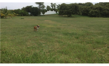 Lote de terreno frente al mar en venta en Punta Roca, San Carlos