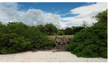 Lote de terreno frente al mar en venta en Punta Roca, San Carlos