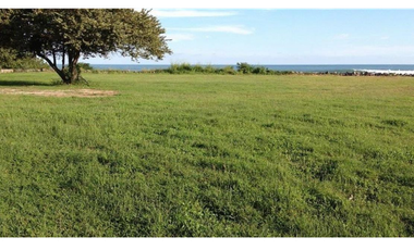 Lote de terreno frente al mar en venta en Punta Roca, San Carlos