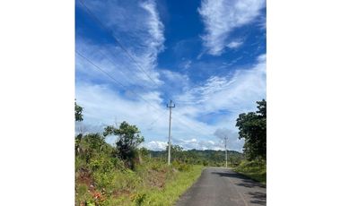 Melissa Foster Luxury Vende Terreno en Los Ruices MF1254