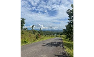 Melissa Foster Luxury Vende Terreno en Los Ruices MF1254