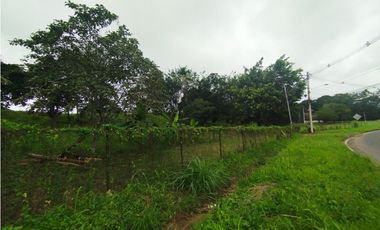 Se vende o alquila terreno en Villalobos, Pedregal