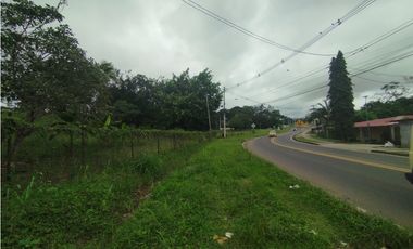 Se vende o alquila terreno en Villalobos, Pedregal