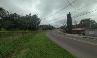 Se vende o alquila terreno en Villalobos, Pedregal