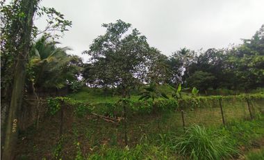 Se vende o alquila terreno en Villalobos, Pedregal