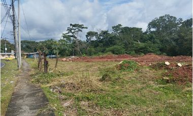 Se vende o alquila terreno en Villalobos, Pedregal