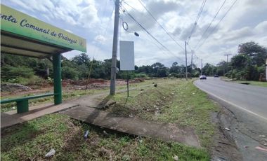 Se vende o alquila terreno en Villalobos, Pedregal