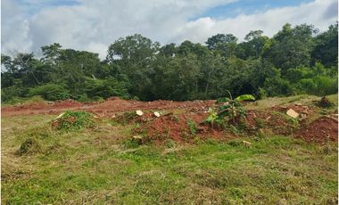 Se vende o alquila terreno en Villalobos, Pedregal
