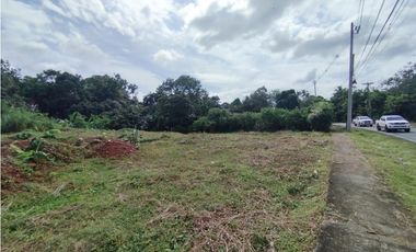 Se vende o alquila terreno en Villalobos, Pedregal