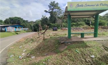 Se vende o alquila terreno en Villalobos, Pedregal