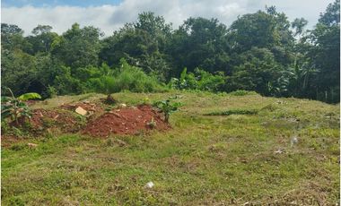 Se vende o alquila terreno en Villalobos, Pedregal