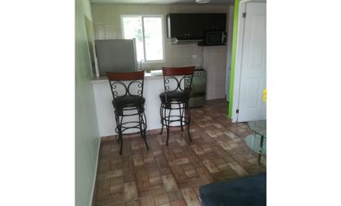 Melissa Foster Luxury Alquila Apartamento en Clayton MF1293