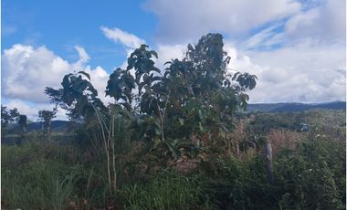 Se vende terreno en Calzada Larga, Chilibre