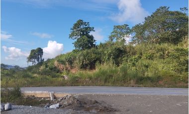 Se vende terreno en Calzada Larga, Chilibre