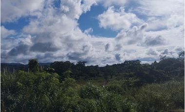 Se vende terreno en Calzada Larga, Chilibre