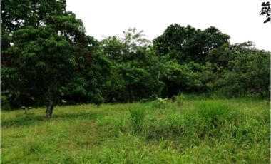 Se vende lote de terreno en La Mesa, San Martín, Pacora