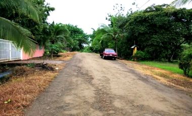 Se vende lote de terreno en La Mesa, San Martín, Pacora