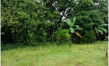 Se vende lote de terreno en La Mesa, San Martín, Pacora