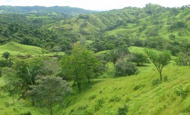 Hermosa Finca en Cative, Sona, Veraguas