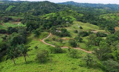Hermosa Finca en Cative, Sona, Veraguas