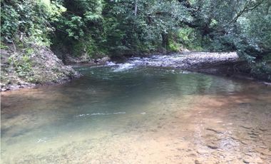 Hermosa Finca en Cative, Sona, Veraguas