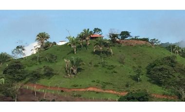 Hermosa Finca en Cative, Sona, Veraguas