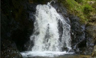 Hermosa Finca en Cative, Sona, Veraguas