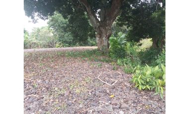 Se vende terreno en Arraiján, Panamá Oeste