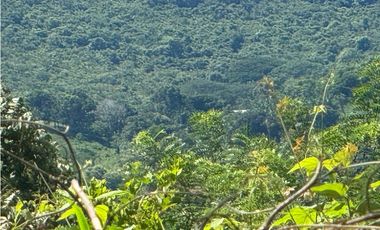 FINCA EN VENTA EN CHICA CHAME