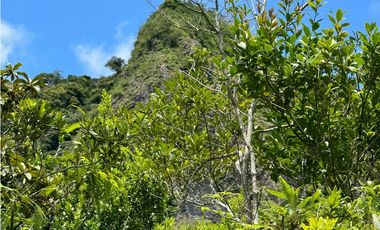 FINCA EN VENTA EN CHICA CHAME
