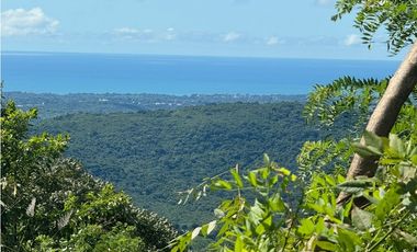FINCA EN VENTA EN CHICA CHAME