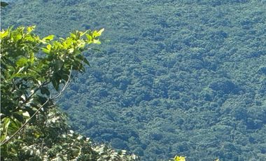 FINCA EN VENTA EN CHICA CHAME