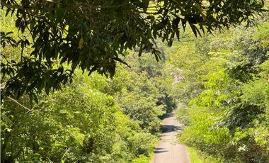 FINCA EN VENTA EN CHICA CHAME